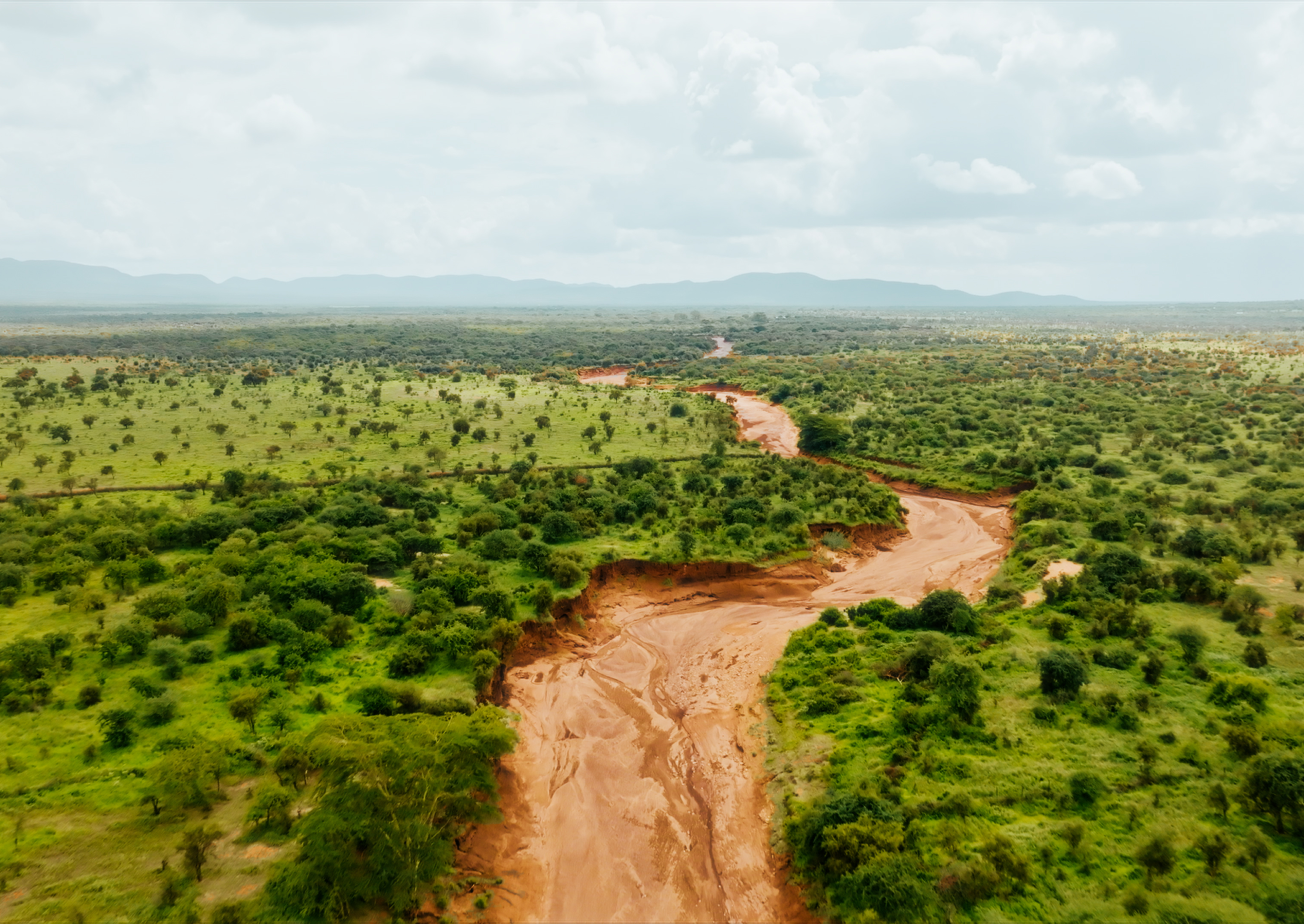 Kenyan landscape with green meadows and muddy riverbed 
