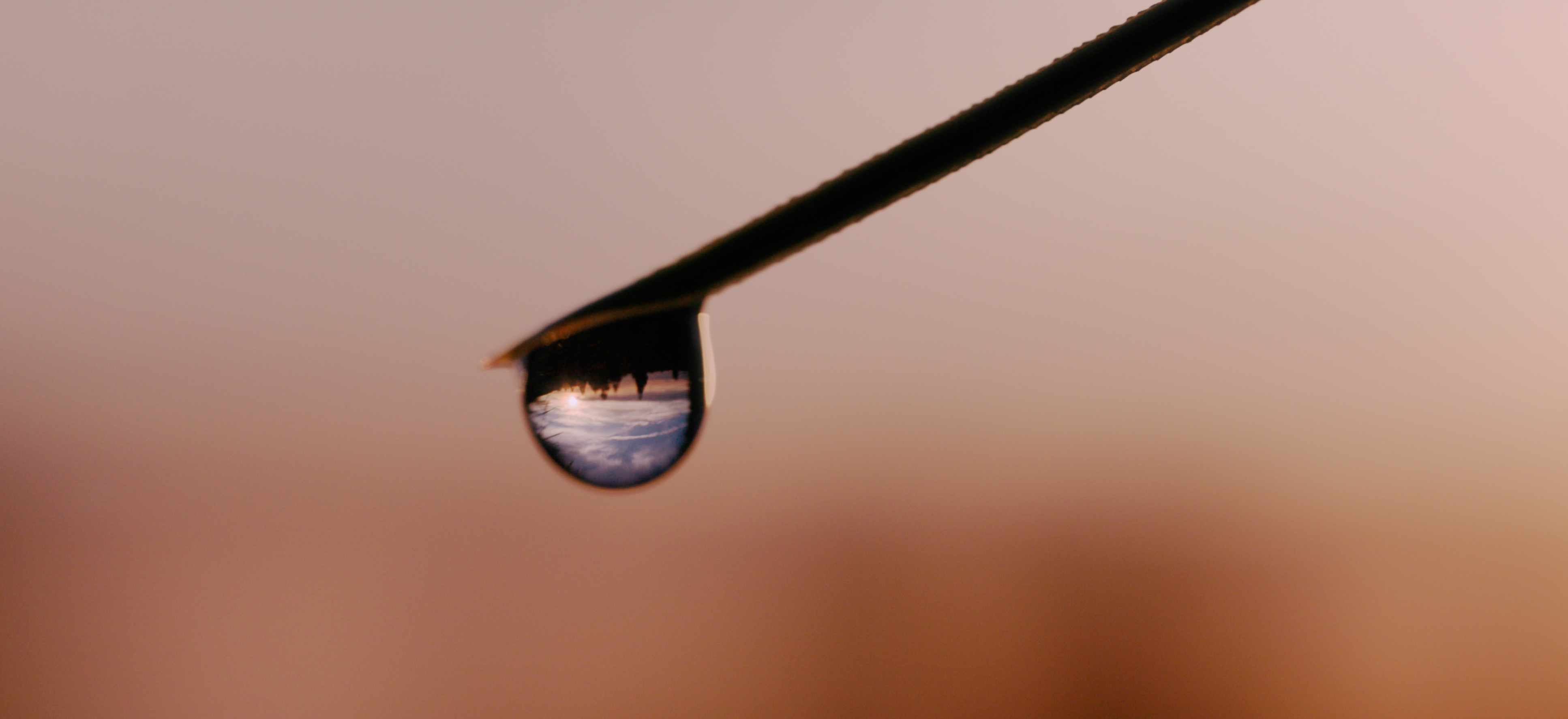 A dew drop at dusk reflecting its surrounding landscape