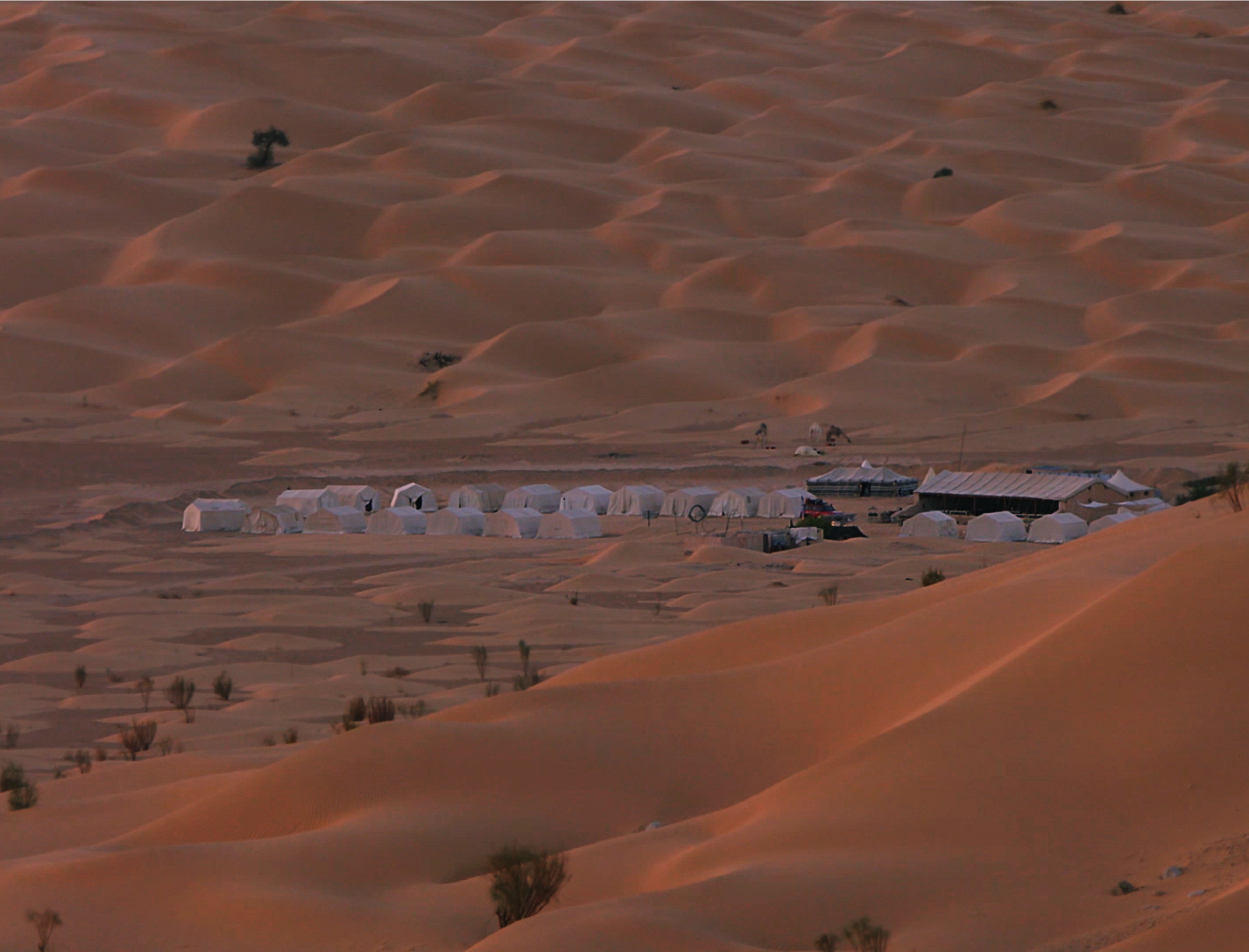 A campsite in the Tunisian desert at dawn