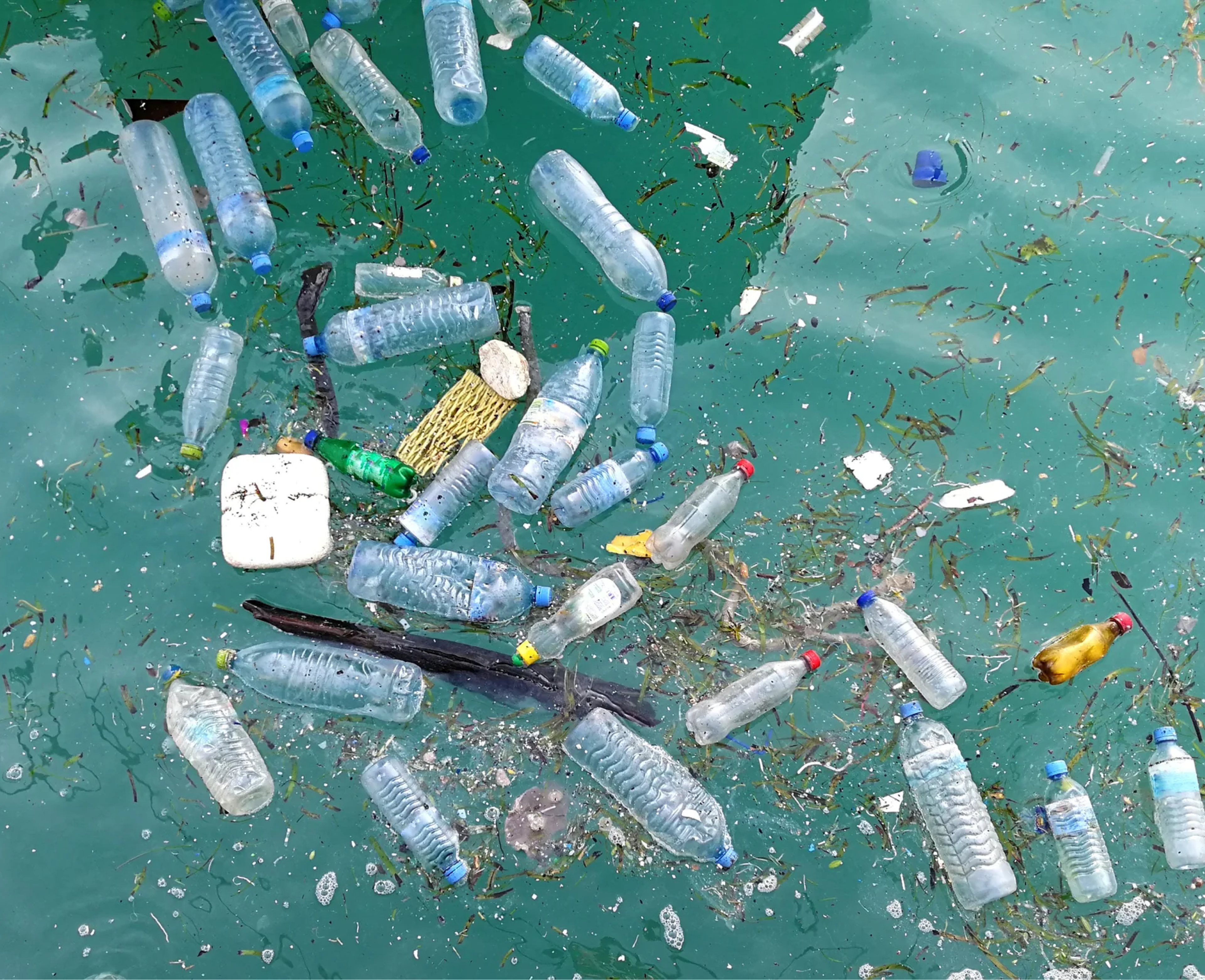 Plastic trash floating in the ocean